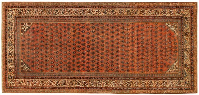 32302 Saraband 10-10 x 5-3