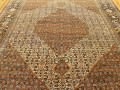 27539 Tabriz Hadji Jalili 13-8 x 9-8