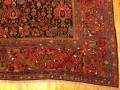 27541 Bidjar 25-0 x 14-8