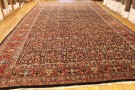 28011 Bidjar 21-9 x 12-6