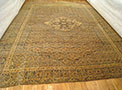 29214 Tabriz Hadji Jalili 21-0 x 15-6