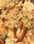 29706 Tapestry 6-3 x 6-2