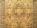 31255 Meshed 10-0 x 6-6