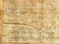 31337 Tabriz 19-0 x 9-9