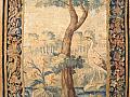 31653 Tapestry 7-0 x 4-6