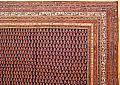 32014 Saraband 10-0 x 7-9