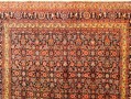 32071 Bidjar 10-0 x 7-2