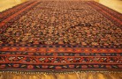 32151 Seneh Kilim 9-3 x 6-2