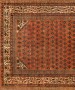32302 Saraband 10-10 x 5-3