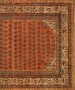 32302 Saraband 10-10 x 5-3
