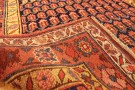 32318 Kurd 17-0 x 3-7