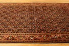 32363 Seneh 10-9 x 6-9