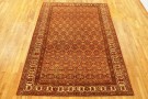 32376 N.W Persia 8-9 x 6-2