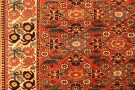 32380 N.W Persia 9-8 x 6-8