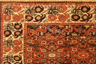 32380 N.W Persia 9-8 x 6-8