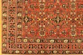 32422 N.W Persia 10-3 x 7-5
