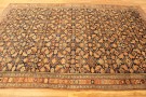 32424 Malayer 9-6 x 6-4