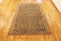 32424 Malayer 9-6 x 6-4