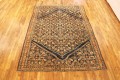 32426 Malayer 9-0 x 6-3