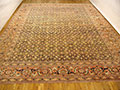 29955 Tabriz 20-0 x 14-6